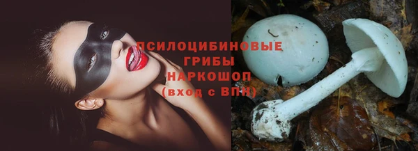 крисы Алзамай