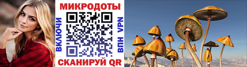 сайты даркнета клад  наркошоп  Шумерля  Галлюциногенные грибы Magic Shrooms 