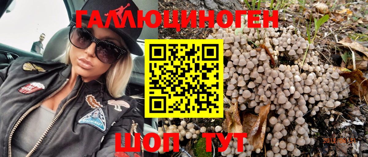 Псилоцибиновые грибы GOLDEN TEACHER  купить  цена  Галлюциногенные грибы мухоморы  Шумерля  Вход с VPN 