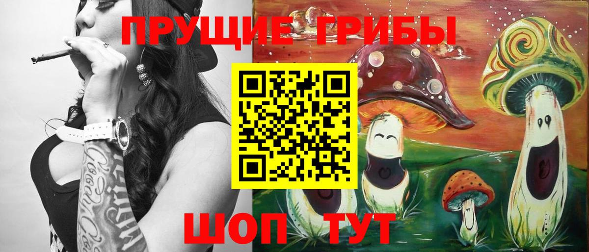 Псилоцибиновые грибы мухоморы Шумерля